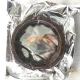 1005060-29DN Crankshaft oil seal rear 120*140*13 DL assembly