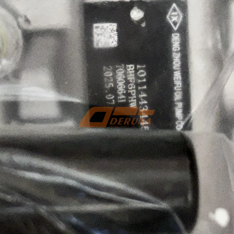 1011443445 Injection Fuel Pompe Sinotruck 430 English
