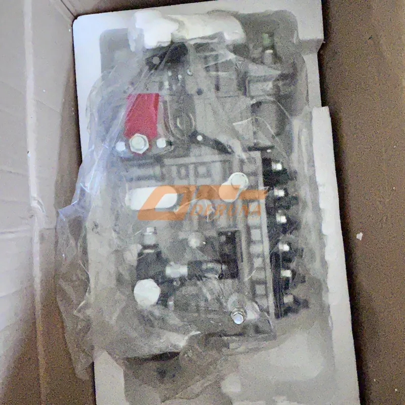 1011443445 Injection Fuel Pompe Sinotruck 430