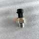 202V27421-0313 Electronic Oil Pressure Sensor