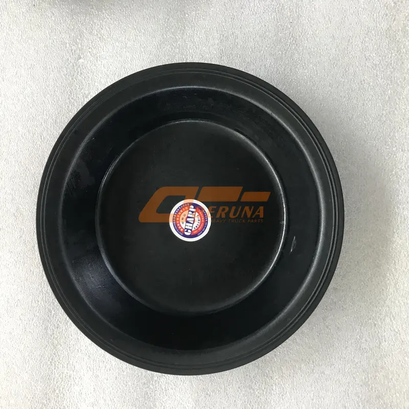 9910036936 Accumulator Diaphragm D=200