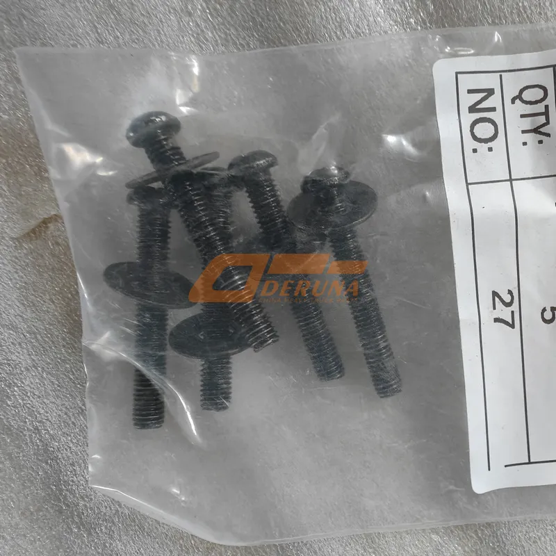 Q40206 Hexalobular Socket Head Cap Screws + Big Washer (Q2100825F31 + Q40208F31)