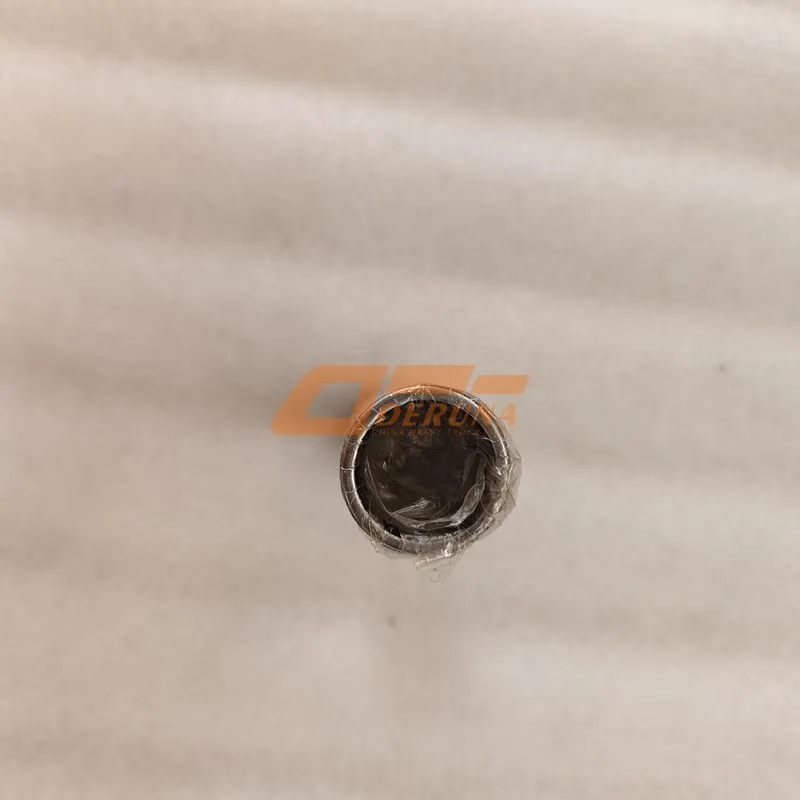 Needle Roller Bearing HK2536-2RS