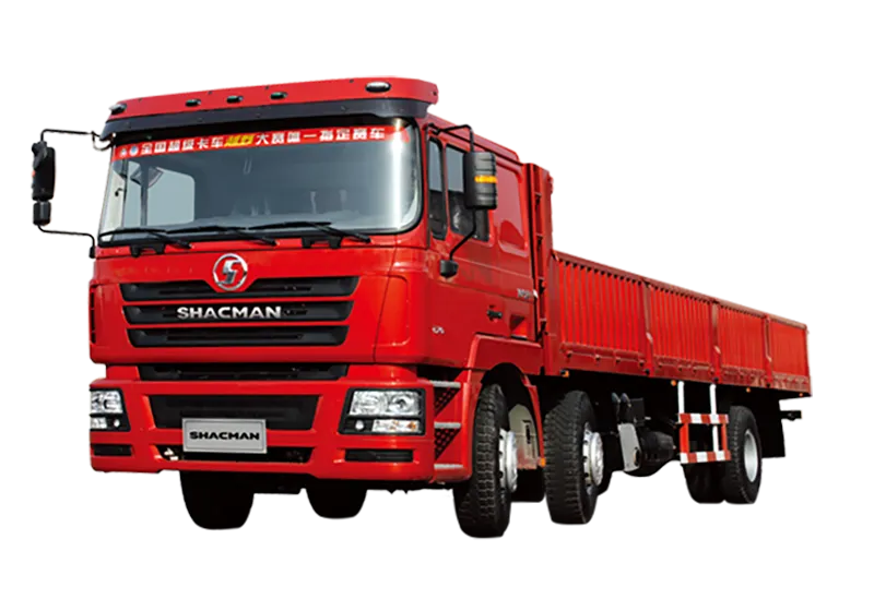 shacman Heavy Cargo Truck